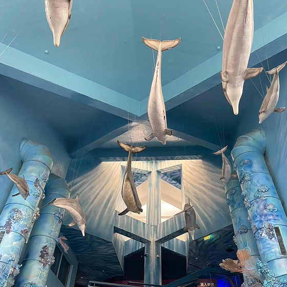 澎湖水族館圖片